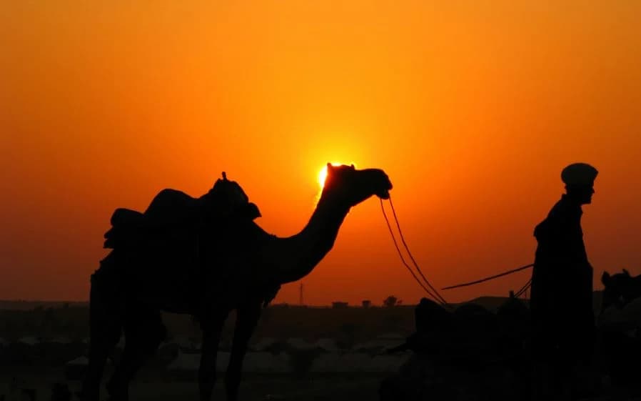 Luxury Tour of Royal Rajasthan