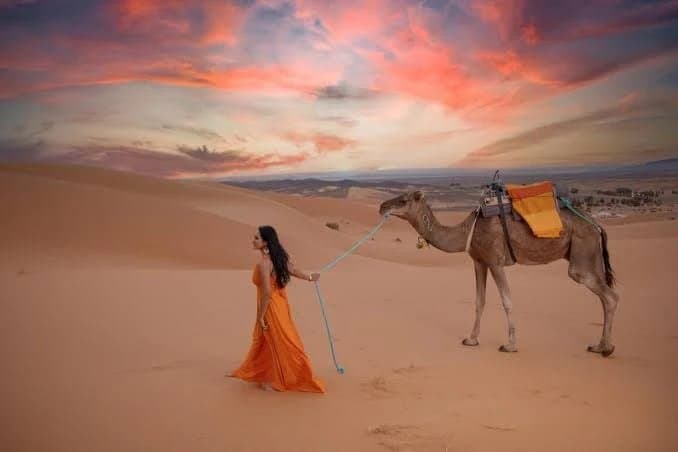 Fernweh Half Day Camel Safari Tour with Sunrise