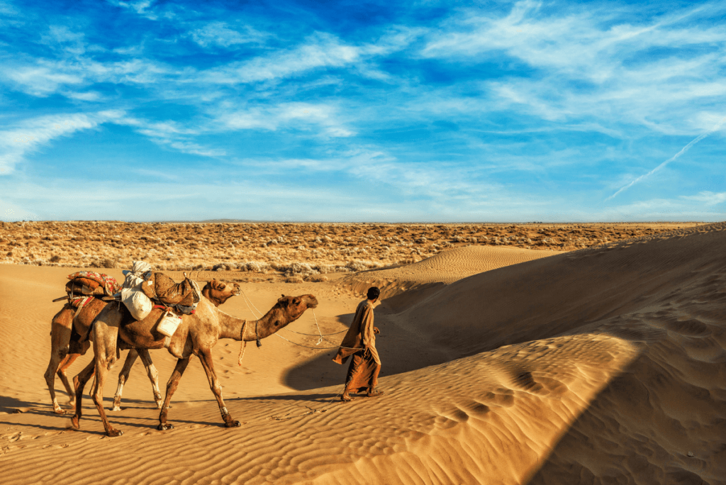 Luxury Trip of North India