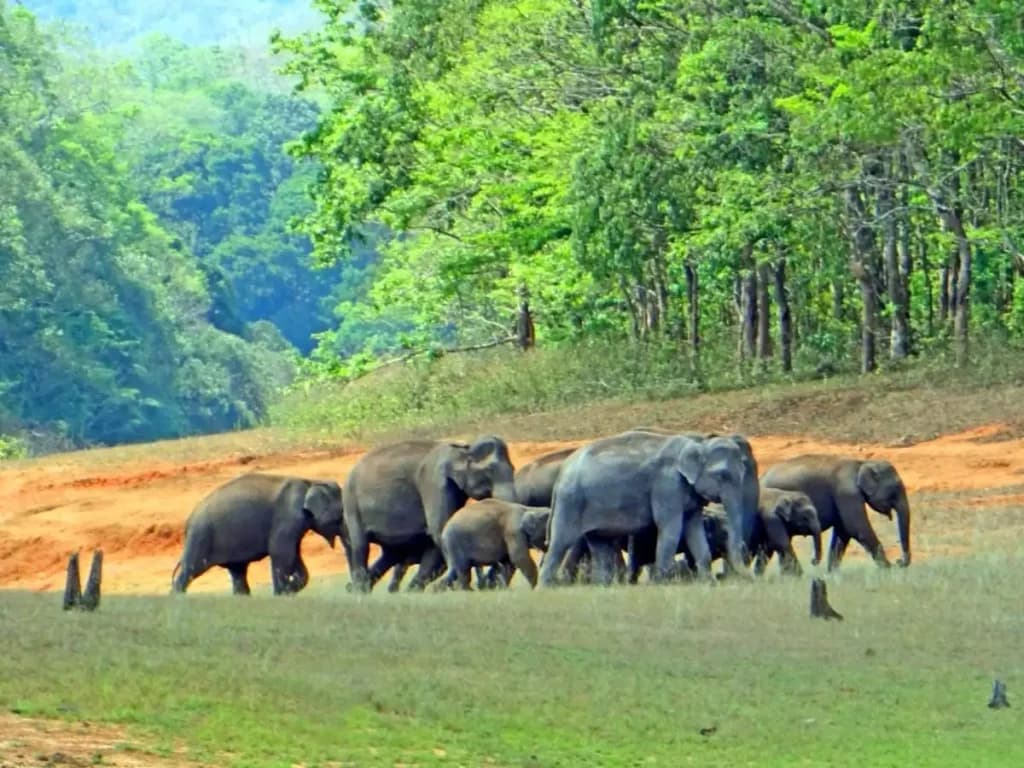 SHORT ESCAPE OF PERIYAR