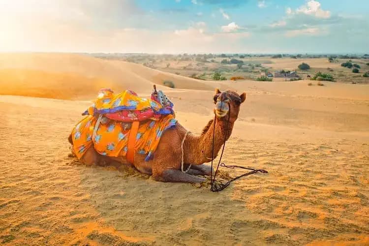 4 Days Udapur Jodhpur & Jaisalmer Tour photo 3