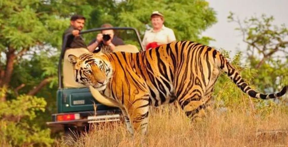 18 Days Golden Triangle Tour With Central India photo 2