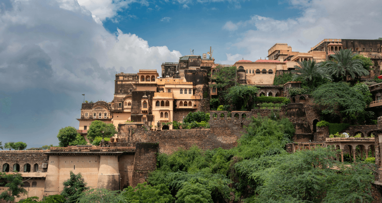 Same Day Neemrana Tour from Delhi photo 2