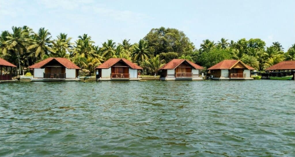 Munnar Honeymoon Tour photo 3