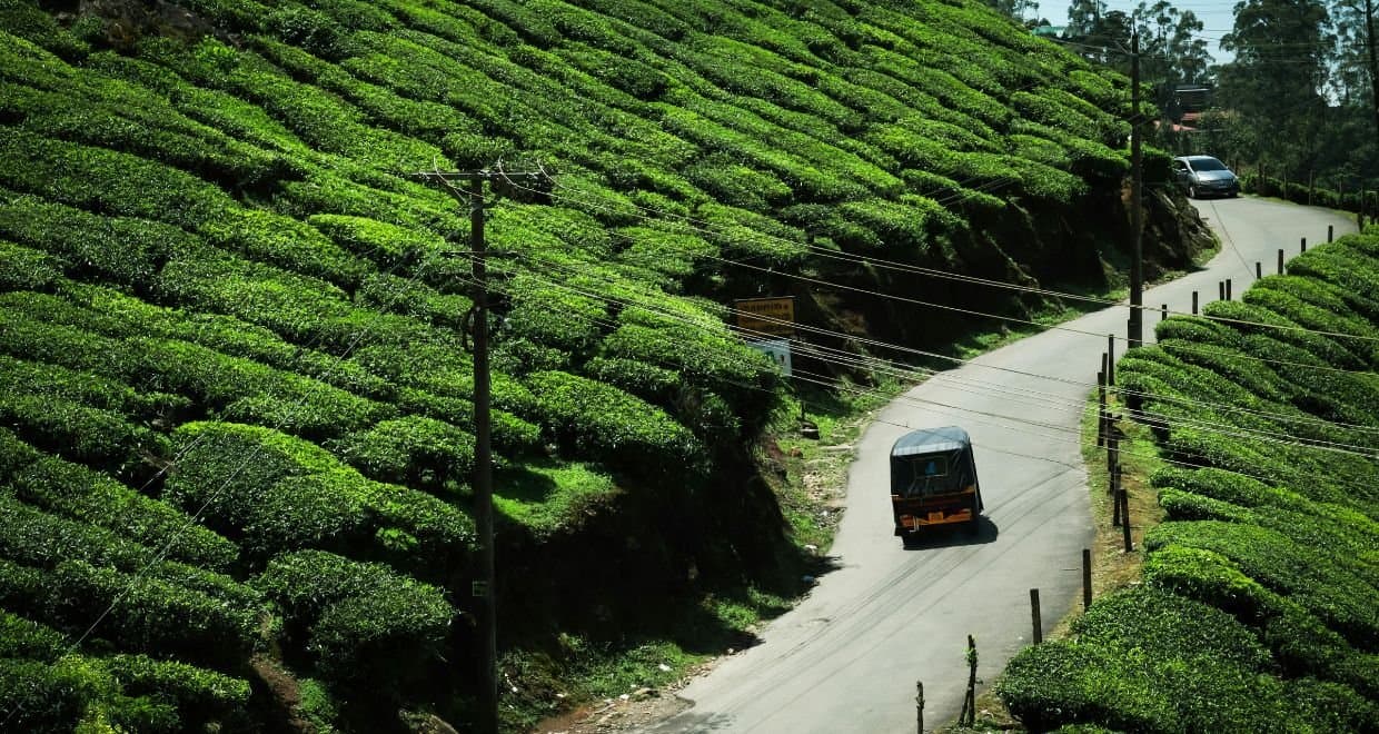 Exotic Kerala Group Tour photo 2